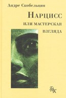 Нарцисс, или Мастерская взгляда